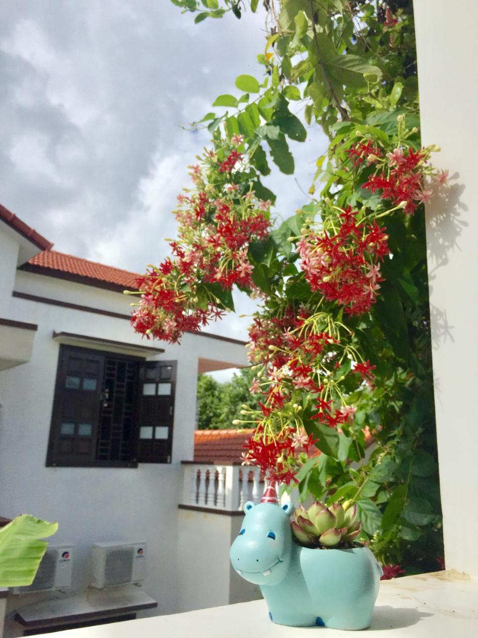 הוי אן Holy Land Homestay מראה חיצוני תמונה