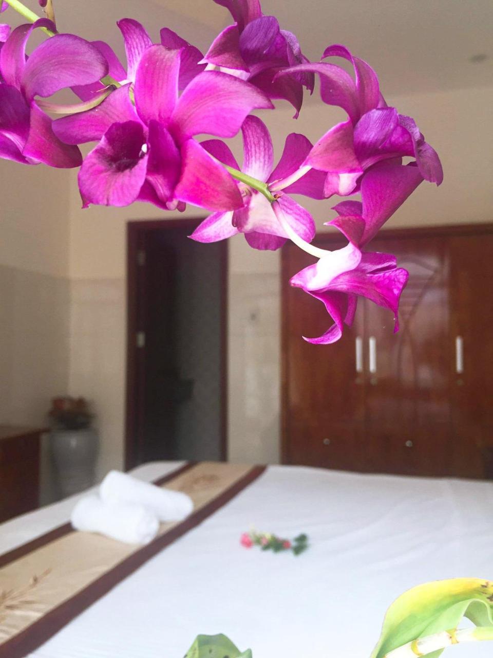 הוי אן Holy Land Homestay מראה חיצוני תמונה